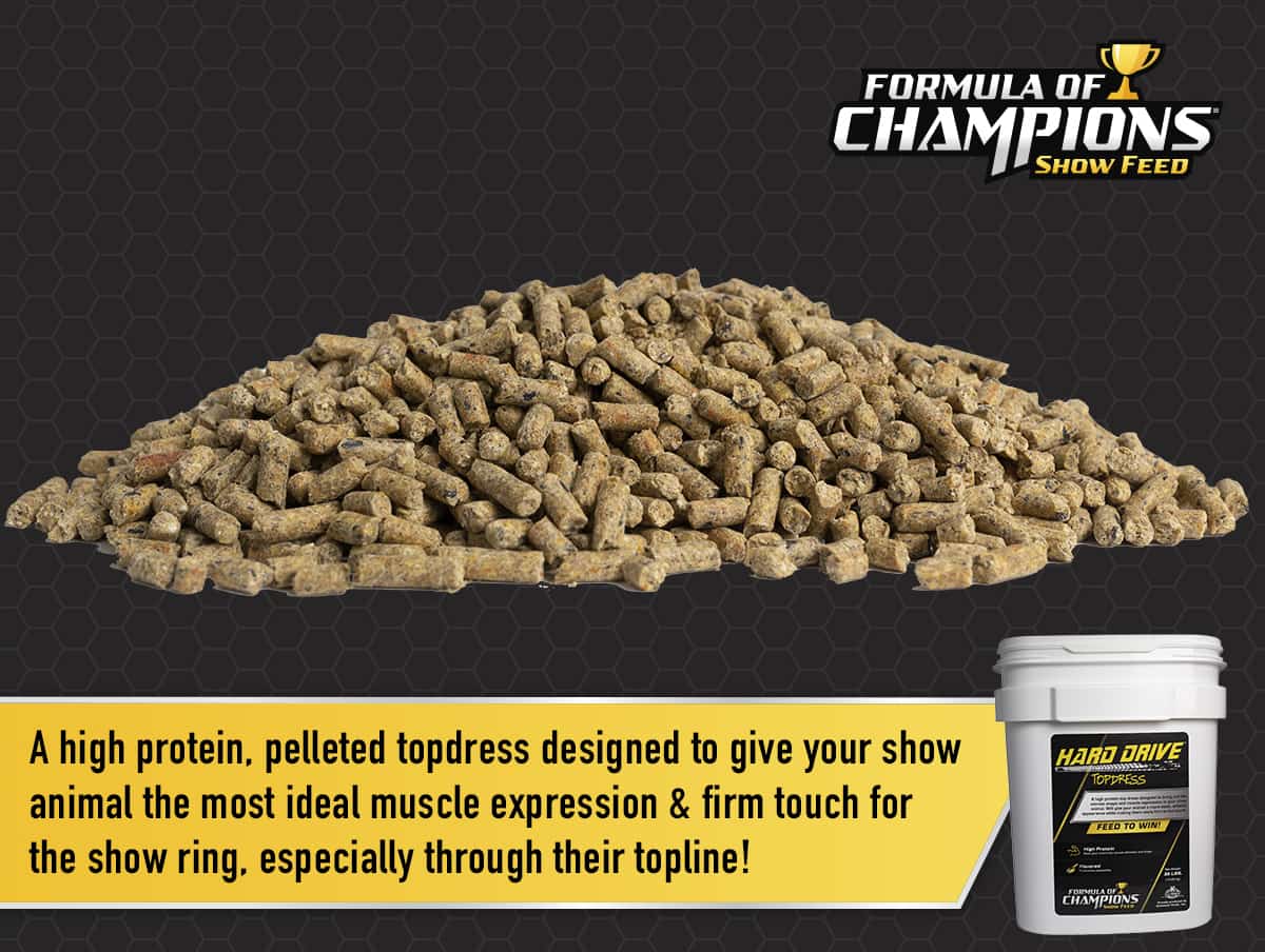 Hard Drive® – Kalmbach Feeds®