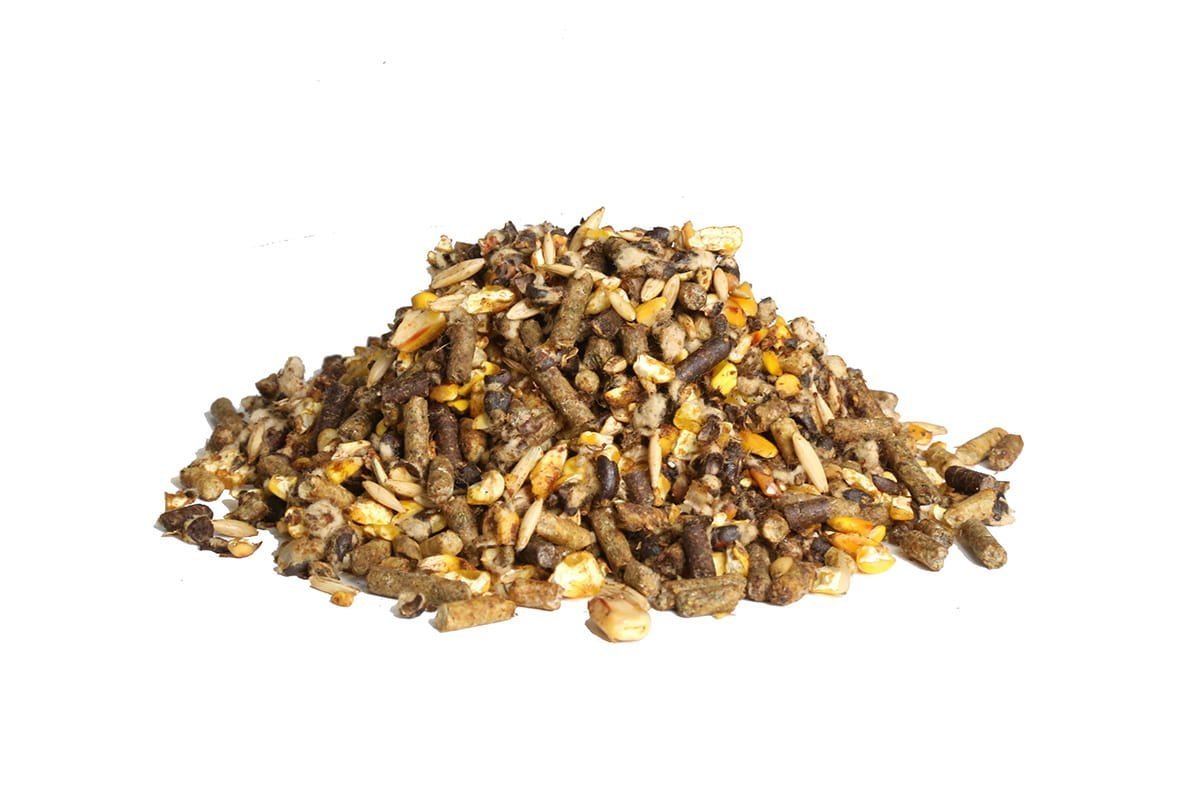 Show Calf Accelerator Cattle Feed – Kalmbach Feeds®