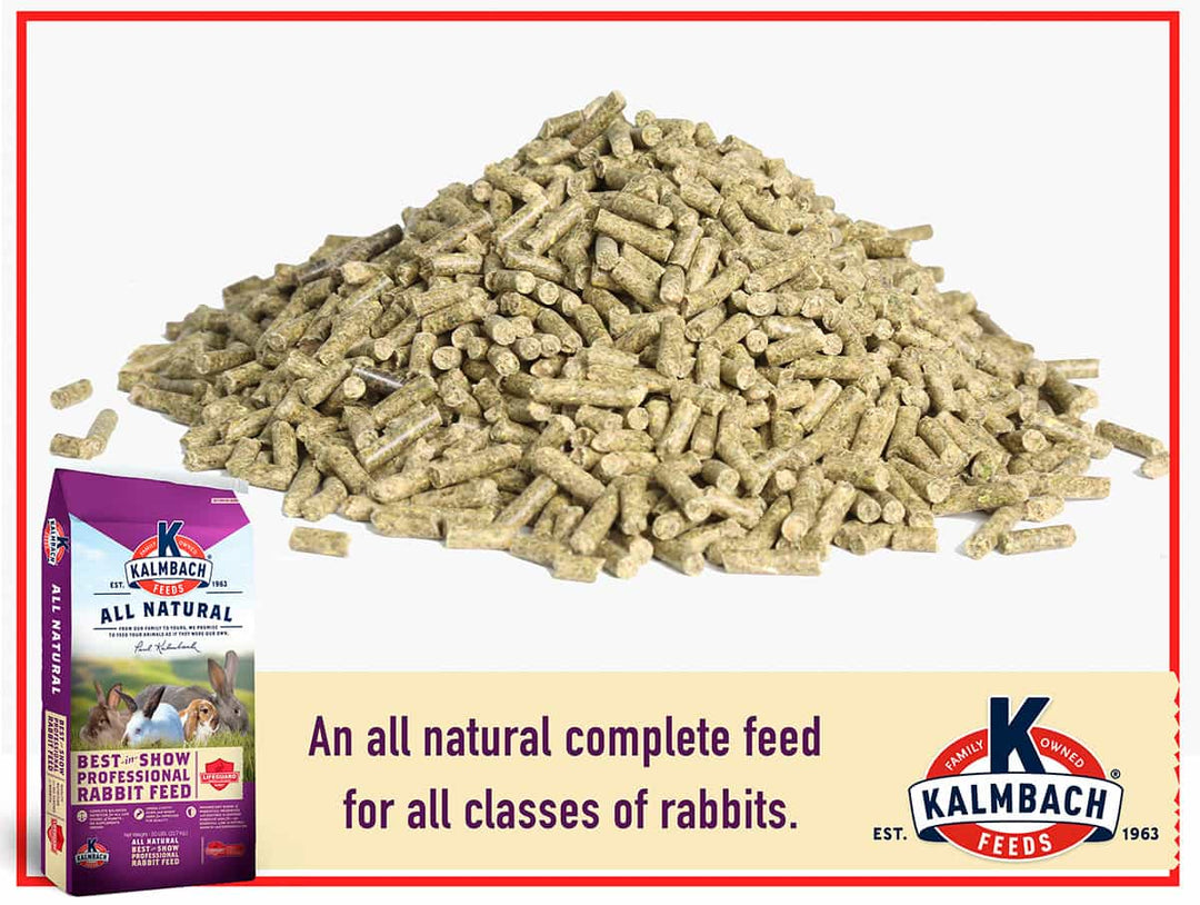 16% Best-in-Show Rabbit Pellet – Kalmbach Feeds®