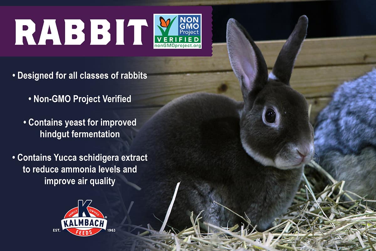 Kalmbach Non-GMO 16% Rabbit Pellet – Kalmbach Feeds®