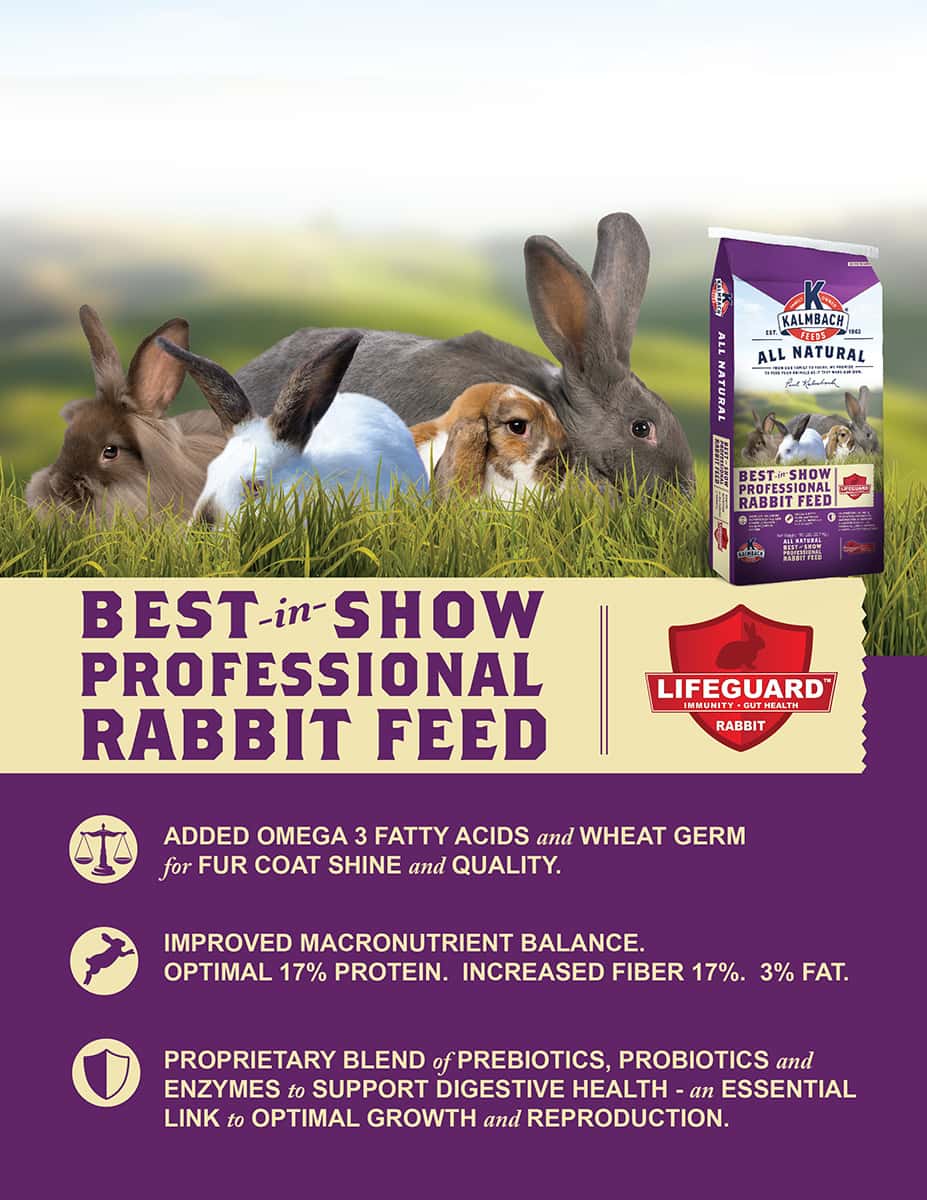 18% Best-in-Show Rabbit Feed – Kalmbach Feeds®