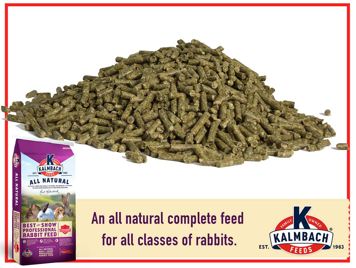 Jack Rabbit Feed 18% Best-in-Show Rabbit Feed – Kalmbach Feeds®