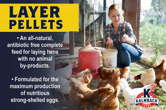 kalmbach all-natural layer pellets poultry feed bullet points