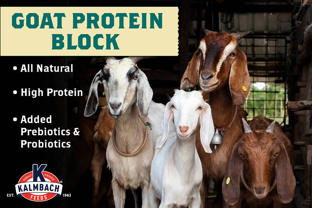 Goat Protein Block – Kalmbach Feeds®