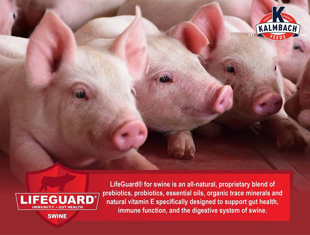 Piglet Life Guard Pick of the Litter® Mini Pellet for Pigs – Kalmbach Feeds®