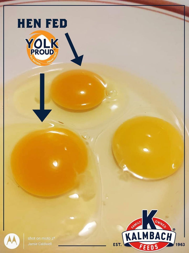 Premium Blocks and Tubs For Poultry, Horses, and Livestock – Kalmbach ...