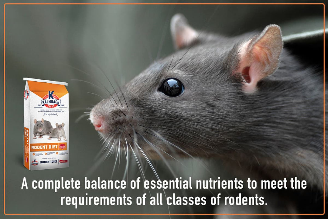 Rodent Kibble Kalmbach 18% Rodent Diet – Kalmbach Feeds®