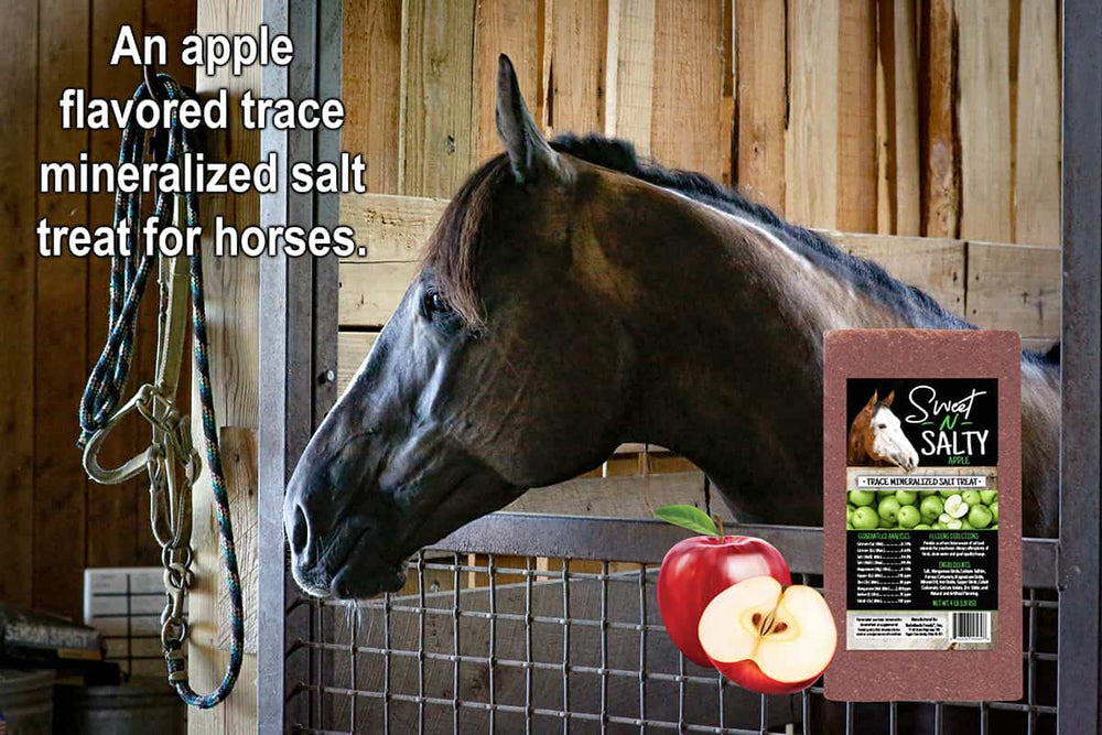 kalmbach sweet-n-salty apple flavored horse mineral block description