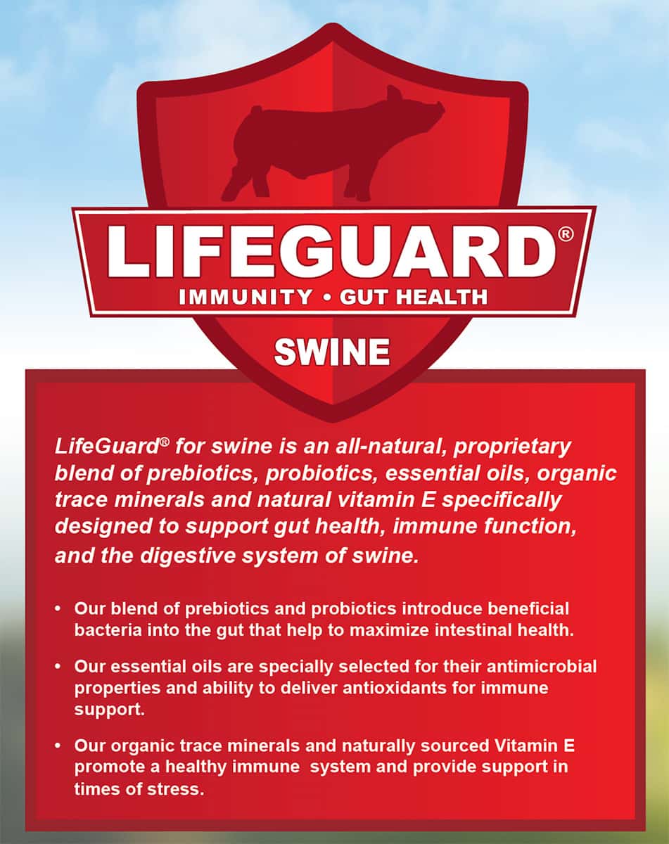 Piglet Life Guard Family Fixin's® Sow & Pig (Organic) – Kalmbach Feeds®