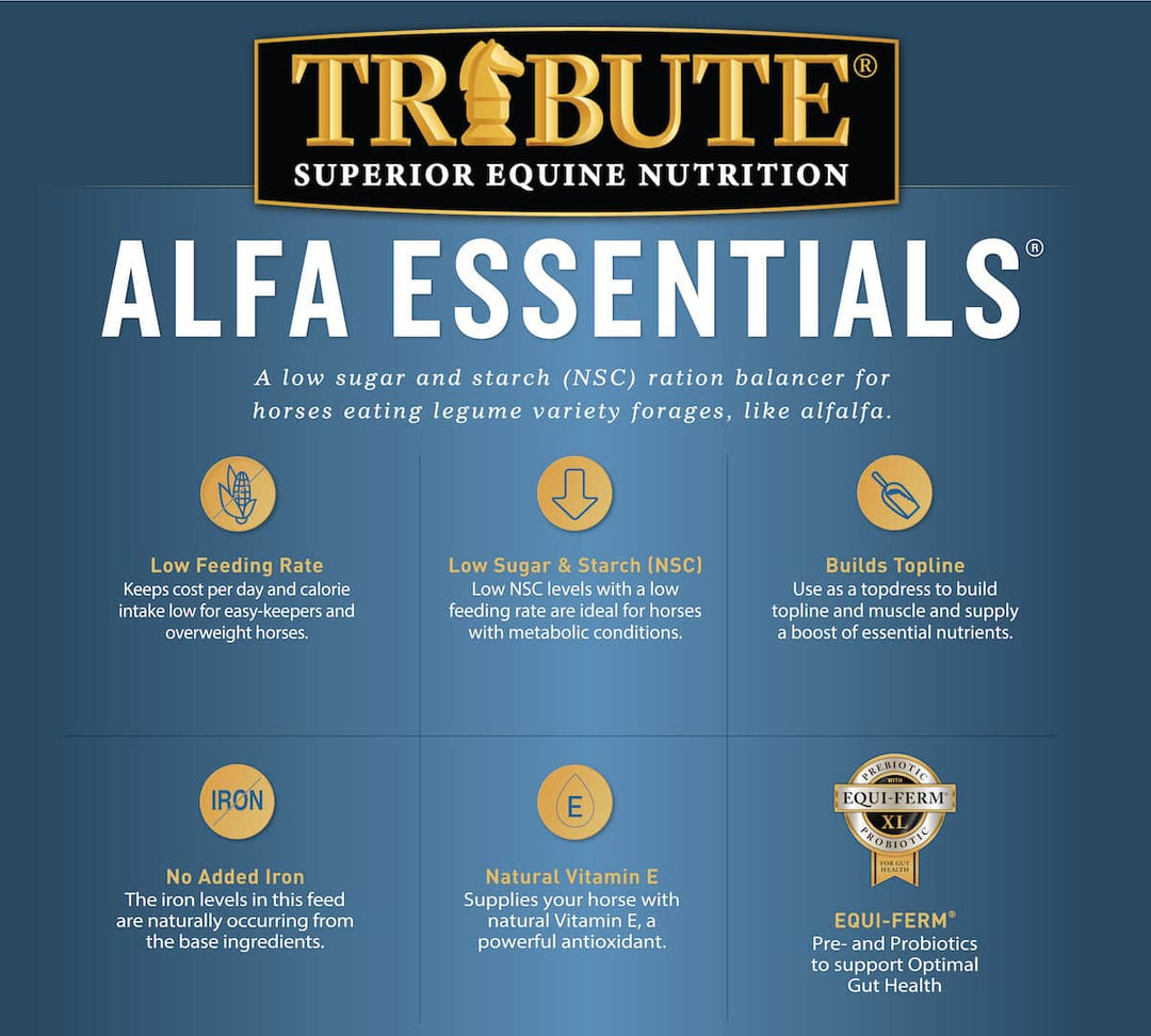 tribute alfa essentials horse feed benefits graphic
