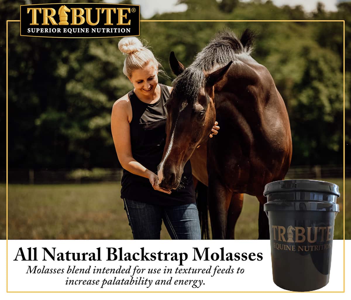 Equine Blackstrap Molasses, Feed Topper | Tribute® – Kalmbach Feeds®