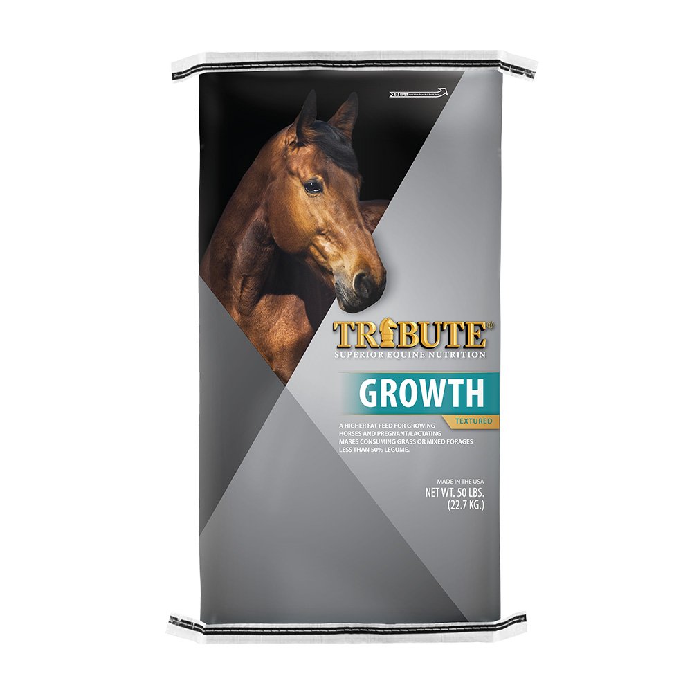 tribute equine nutrition growth horse feed canada