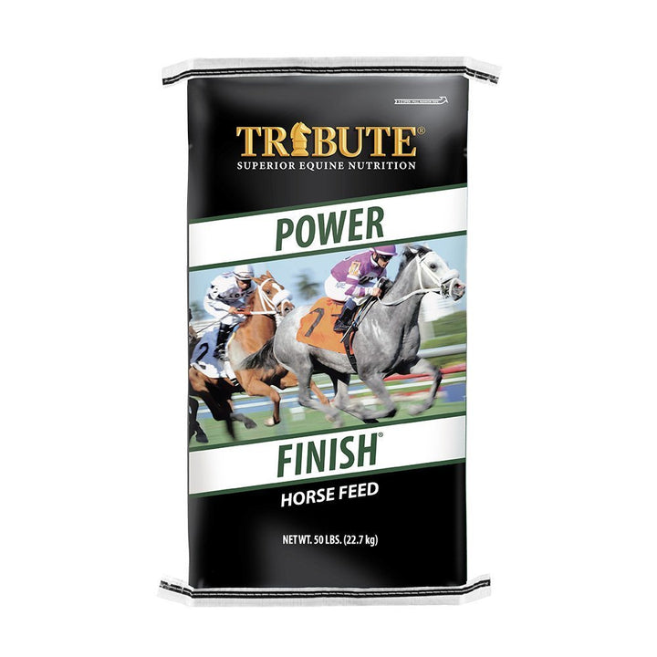 Horse Feed and Supplements – Page 3 – Kalmbach Feeds®