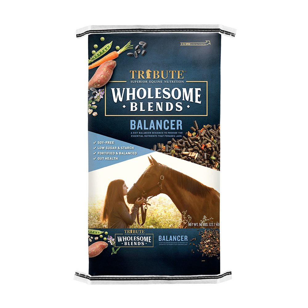 Wholesome Blends® Balancer – Kalmbach Feeds®