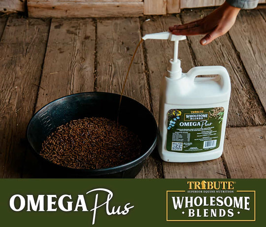 tribute omega plus lifestyle imagery horse oil supplement