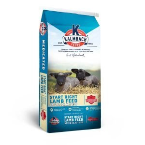 kalmbach start right lamb feed for lambs medicated